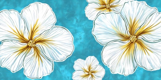 夏日海蓝白花朵