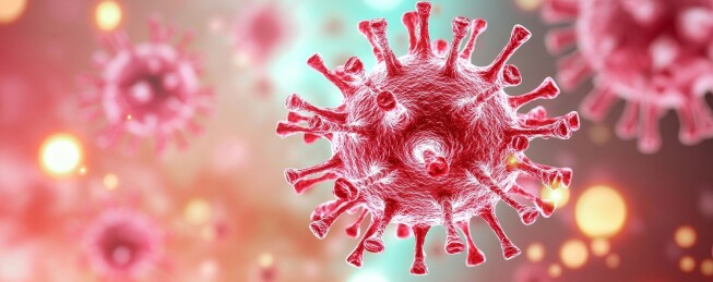 新冠病毒微观结构图