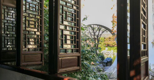  阳光洒落在中式庭院