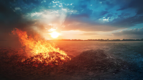 火焰与灰烬的对比图