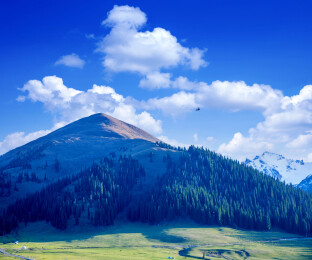 中国新疆伊犁那拉提草原亚高山草甸航拍