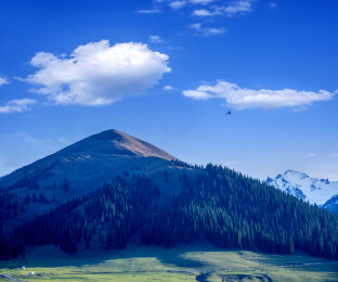 中国新疆伊犁那拉提草原亚高山草甸航拍