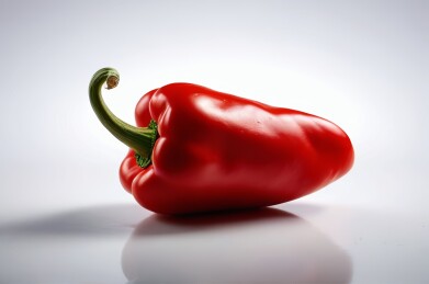 白色背景一个绿色茎的红辣椒高清图片