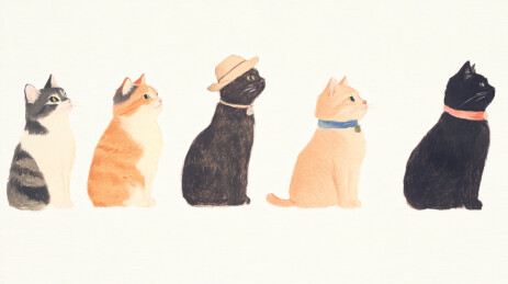 排排坐的猫油彩手绘插画