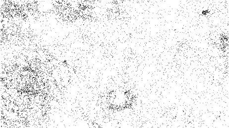 稀疏的黑色网点图案半色调矢量背景图