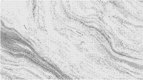 密集的黑色网点图案半色调矢量背景图