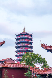 江苏苏州市相城区阳澄湖边的皇罗禅寺风光