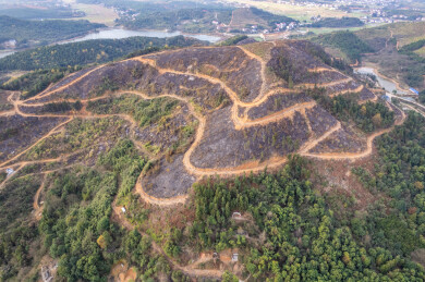 火烧过的山林地