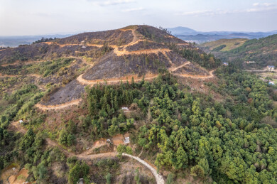 火烧过的山林地