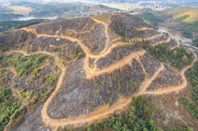 火烧过的山林地