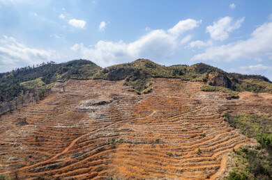 春季造林翻耕的高山土地垄