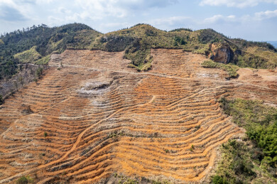 春季造林翻耕的高山土地垄