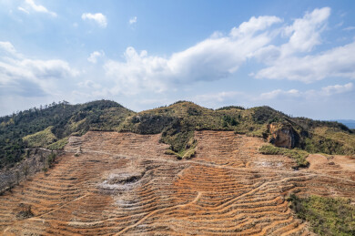 春季造林翻耕的高山土地垄