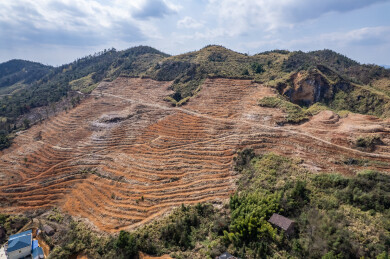 春季造林翻耕的高山土地垄