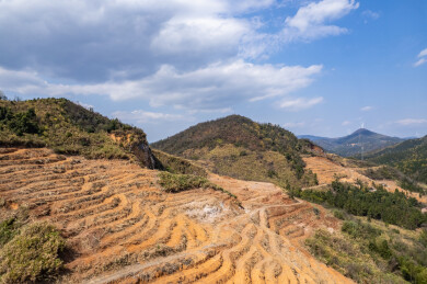 春季造林翻耕的高山土地垄