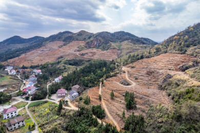 春季造林翻耕的高山土地垄