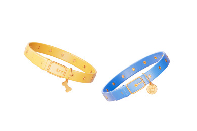 三维渲染白色背景下的宠物项圈