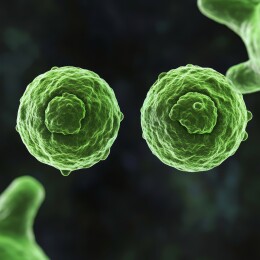 细胞世界的微观奇观