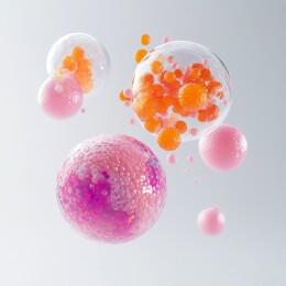 细胞世界的奇妙之旅