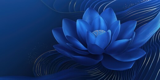 深蓝色莲花的魅力