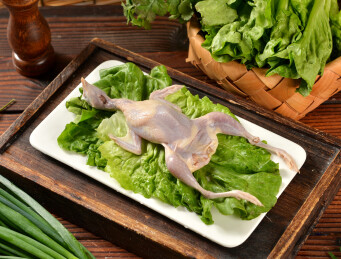 生鲜肉食生鹌鹑