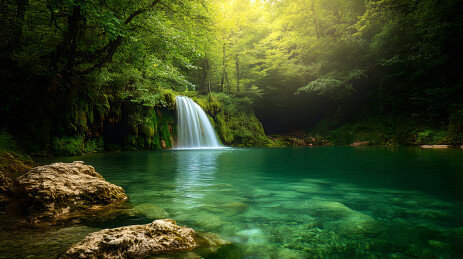 森林中的瀑布水潭