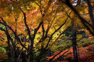亚洲日本京都府今熊野观音寺的风光