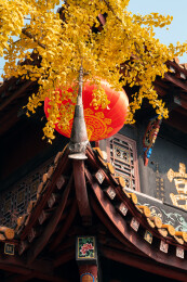 成都青羊宫的古建筑和金黄色的银杏