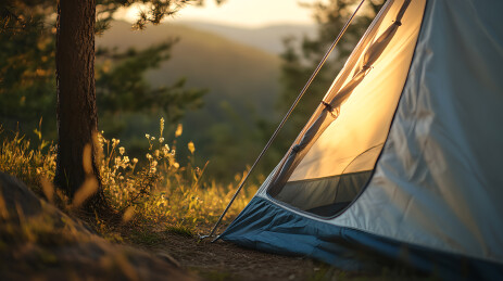 晨光中的帐篷局部