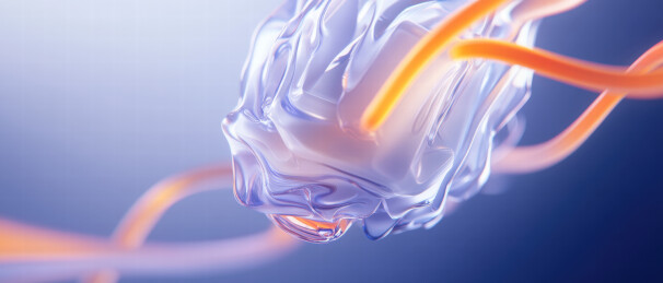 透明生物体与光纤的连接