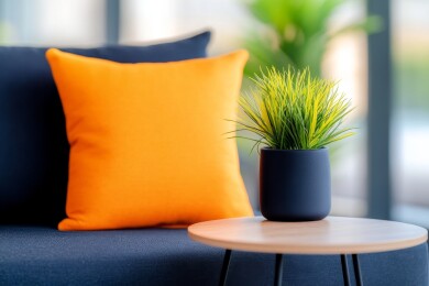 沙发靠枕与桌面盆栽