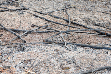 地上燃烧过后的灰烬