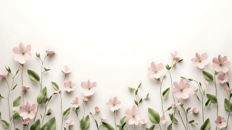 花海中的清新自然风光