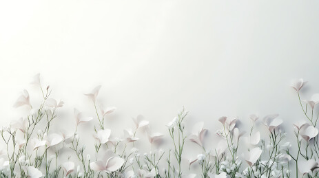 花海中的清新自然风光