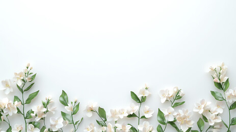 花海中的清新自然风光