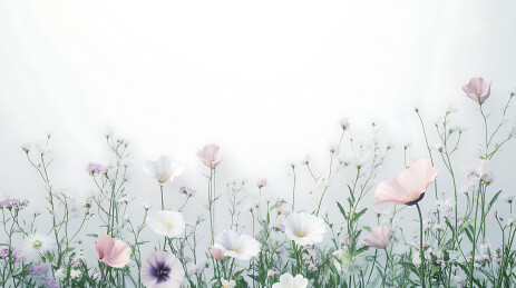 花海中的清新自然风光