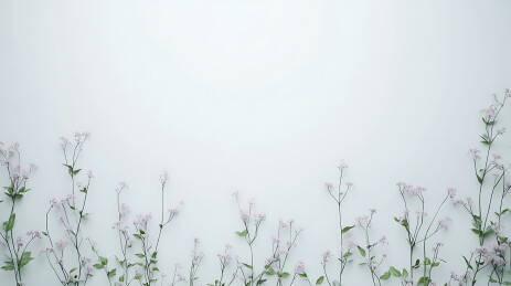 花海中的清新自然风光