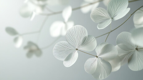 花海中的清新自然风光