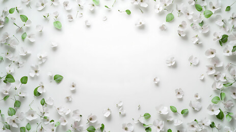 花海中的清新自然风光