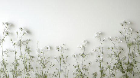 花海中的清新自然风光