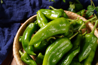 木板背景上新鲜农作物青尖椒