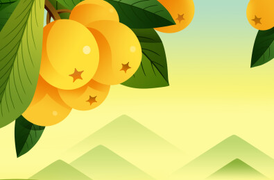 二十四节气之夏天小满枇杷树与彩虹插画