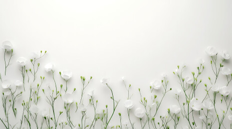 花海中的清新自然风光