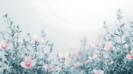 花海中的清新自然风光