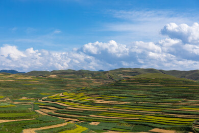 甘南高原尕弯梁万亩梯田景观