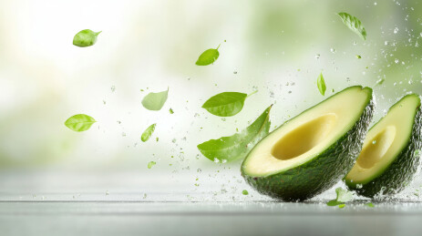 牛油果宣传背景