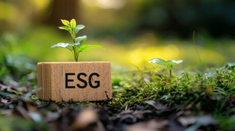 木块上ESG字样旁新生绿植