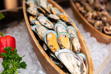 冰鲜贻贝海鲜食材