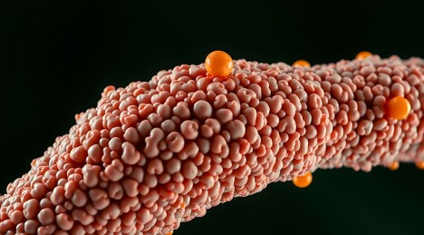 微观世界探索细胞膜与分子互动