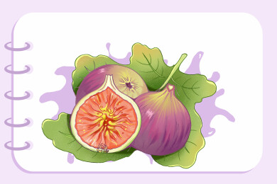 红皮无花果包装插画